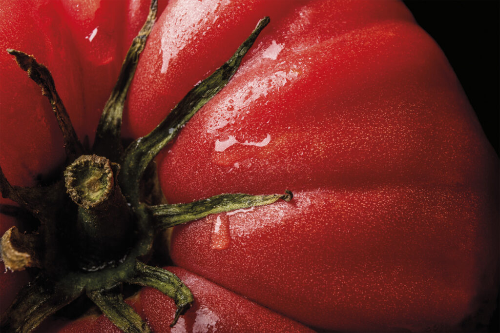 Comparte el Secreto-Alimentos macro tomate 1